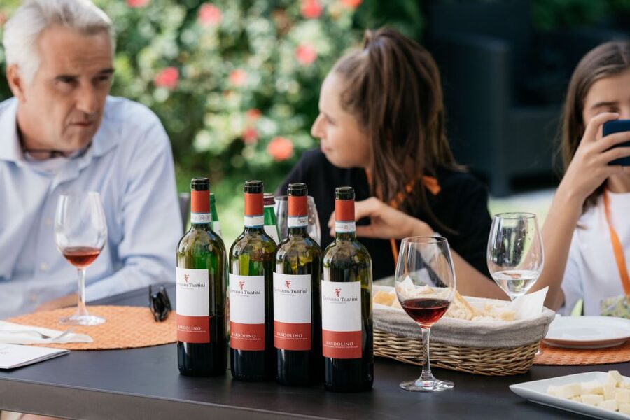 Lake Garda: Vineyard Tour and 6 wine Tasting - Key highlights you’ll actually care about