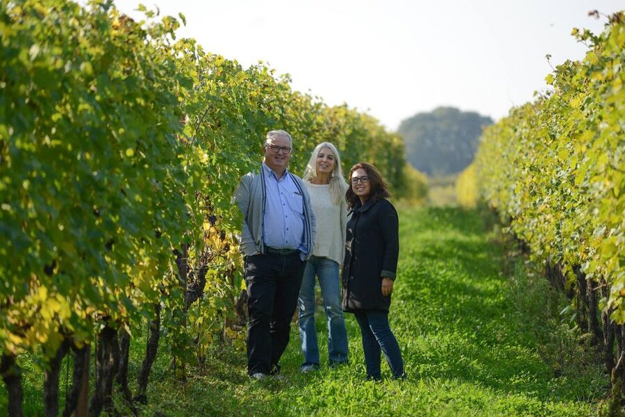 Lake Garda: Vineyard Tour and 6 wine Tasting - Logistics on Lake Garda: timing, parking, and getting there