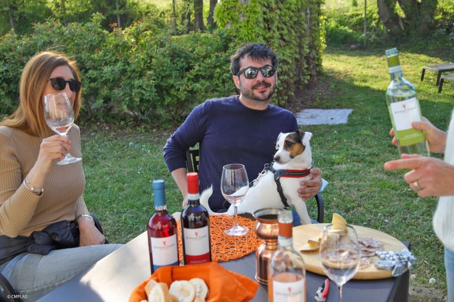 Lake Garda: Vineyard Tour and 6 wine Tasting - Who should book this tour, and who might skip it
