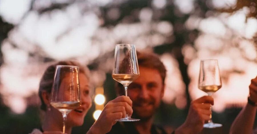 Lake Garda: Vineyard Tour and Tasting on the Hills - A Vineyard Tour and Tasting That Feels Personal Up on the Garda Hills