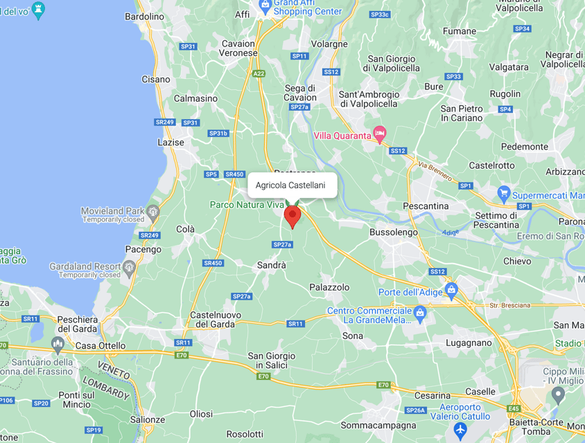 Lake Garda: Vineyard Tour and Tasting on the Hills - Getting There: Località Rotti 69/C and the 2-Hour Reality Check