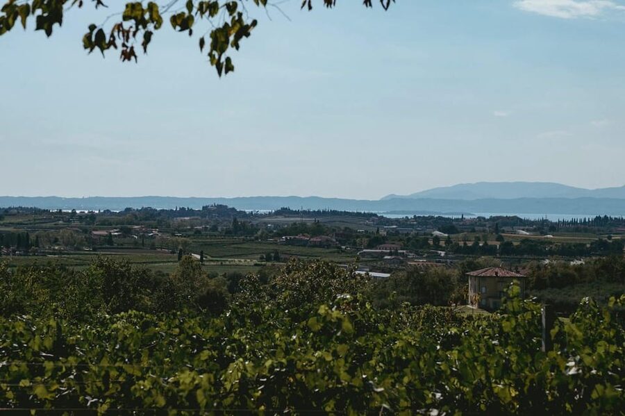 Lake Garda: Vineyard Tour and Tasting on the Hills - Inside the Cellar: A Sustainable Process Tour You Can Actually Follow