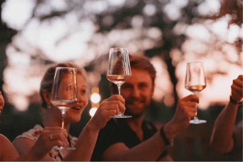 Lake Garda: Vineyard Tour and Tasting on the Hills - Value Check: Is $46 a Good Deal for a Lake Garda Wine Tour?