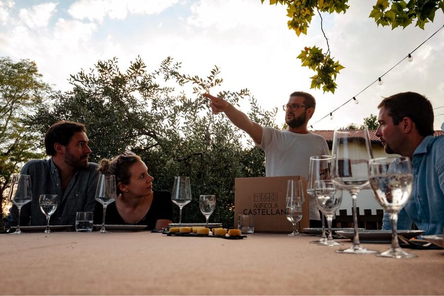 Lake Garda: Vineyard Tour and Tasting on the Hills - Who Should Book This Tour—and Who Might Want Another Option