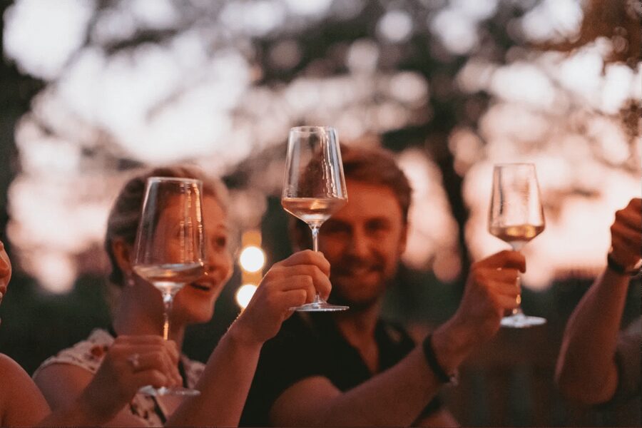 Lake Garda: Vineyard Tour and Tasting on the Hills - Should You Book the Lake Garda Vineyard Tour and Tasting on the Hills?