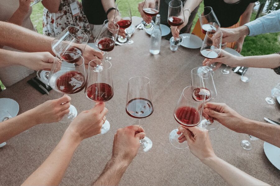 Lake Garda: Vineyard Tour and Tasting on the Hills - Vineyard Walk: Pergola Training, Local Grape Varieties, and Hill Views