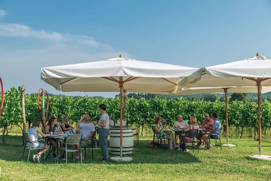 Lake Garda: Wine and Food Tastings in the Vineyards - Key points before you go