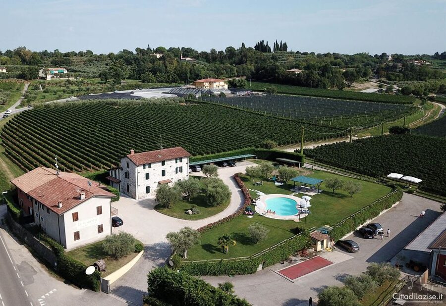Lake Garda: Wine and Food Tastings in the Vineyards - Price and value: is $50 per person fair?