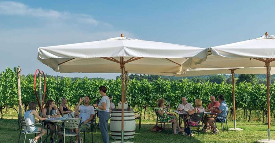 Lake Garda: Wine and Food Tastings in the Vineyards - Why this Lake Garda wine tasting feels different