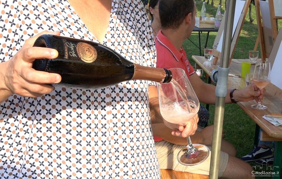 Lake Garda: Wine and Food Tastings in the Vineyards - The tasting flow: what you’ll do during the 2 hours