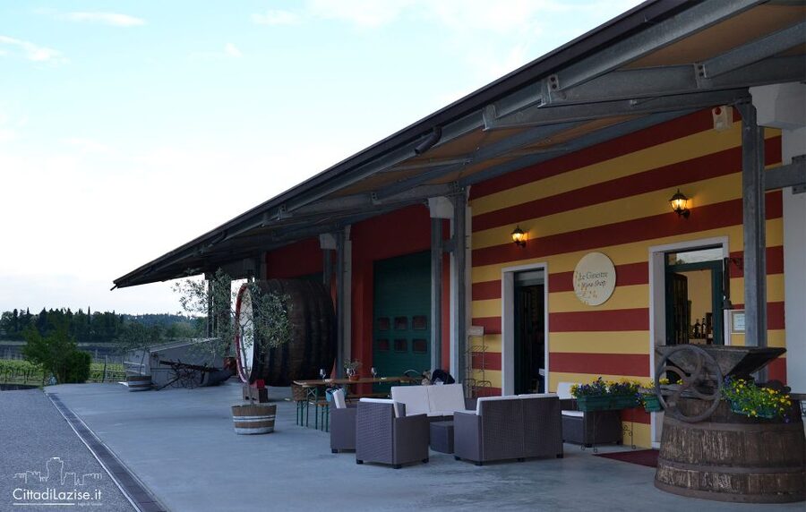 Lake Garda: Wine and Food Tastings in the Vineyards - Food pairings that actually make sense with the wines