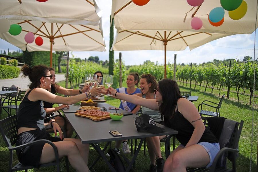 Lake Garda: Wine and Food Tastings in the Vineyards - Who this is best for, and who should skip it