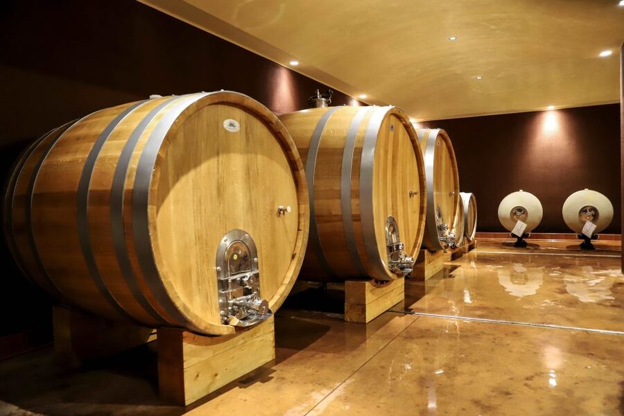 Lake Garda: Wine Tour and Tasting Experience in Bardolino - Tips to get the most out of your wine tasting at Tenuta La Cà