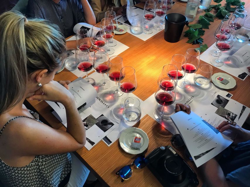 Lake Garda: Wine Tour and Tasting Experience in Bardolino - Why a Bardolino cellar tour feels worth your time