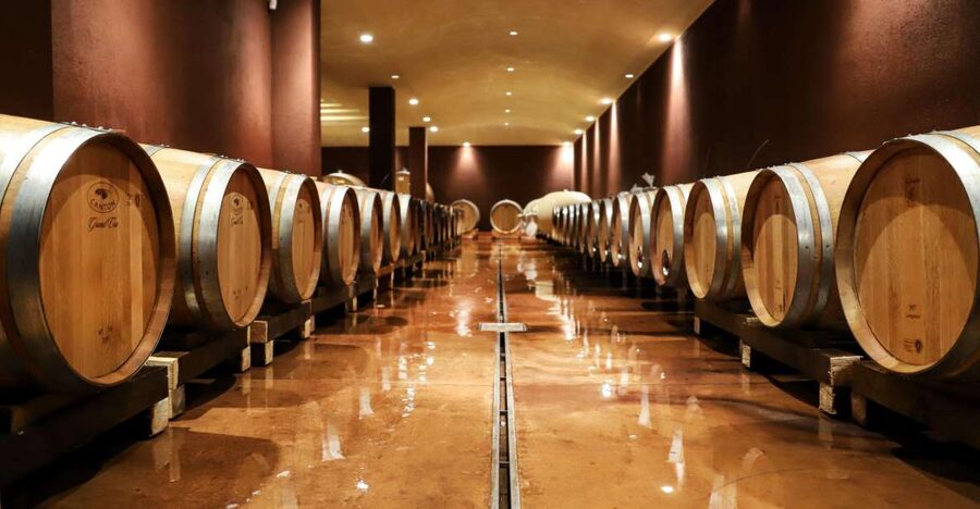 Lake Garda: Wine Tour and Tasting Experience in Bardolino - Inside Tenuta La Cà: what the winery tour actually teaches