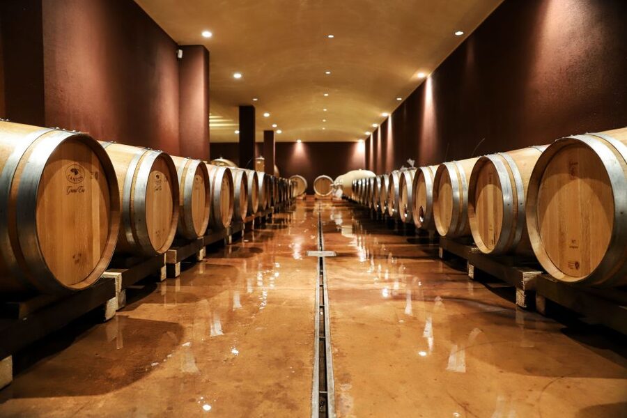 Lake Garda: Wine Tour and Tasting Experience in Bardolino - Entering Strada del Progno 12: meeting point and timing rules that matter