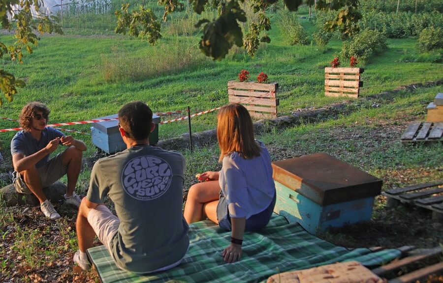 Lazise: Beekeeping Farm Tour and Tasting Experience - Cheese, White Wine, and the Final Bread Bite