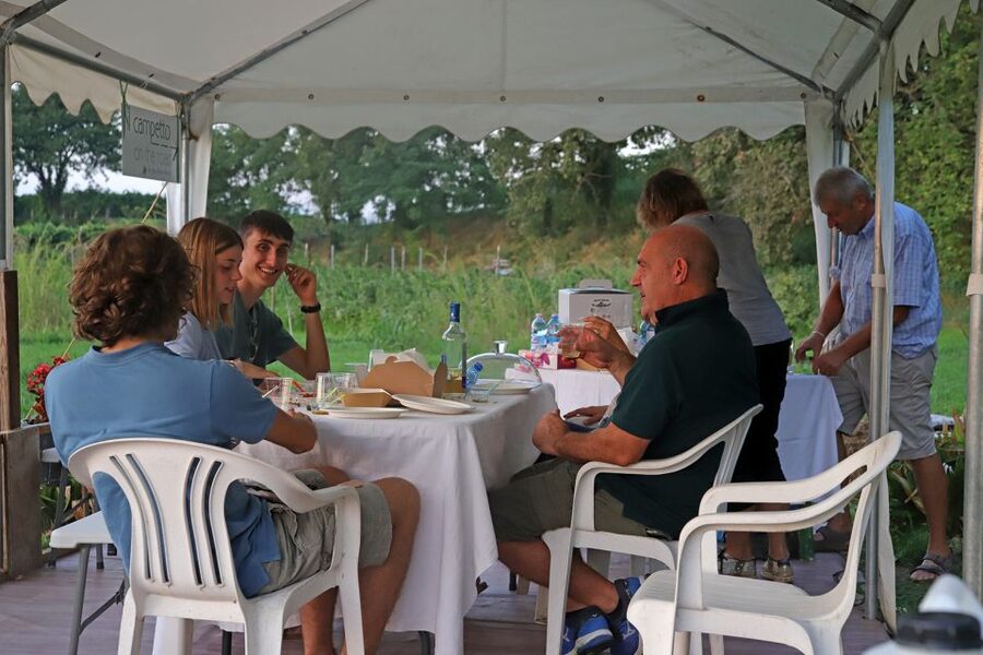 Lazise: Beekeeping Farm Tour and Tasting Experience - Who This Fits Best (and Who Should Re-think It)