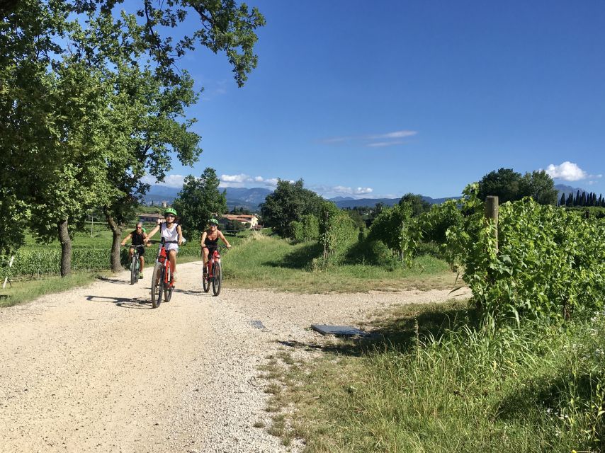 Lazise: Bike Tour and Wine Tasting - Key Highlights You’ll Actually Care About