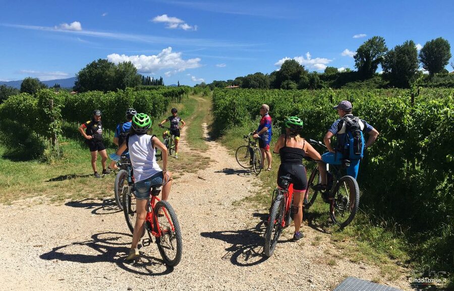 Lazise: Bike Tour and Wine Tasting - Why Lazise + e-Bikes + Bardolino Makes Sense