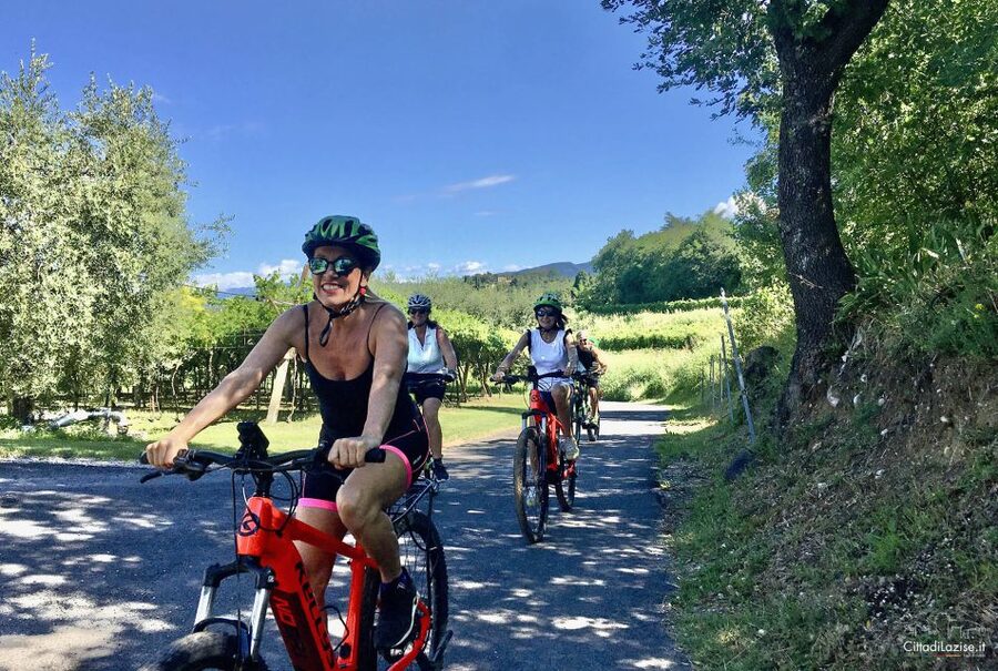 Lazise: Bike Tour and Wine Tasting - Meeting at Le Ginestre Winery: What Happens Before You Ride
