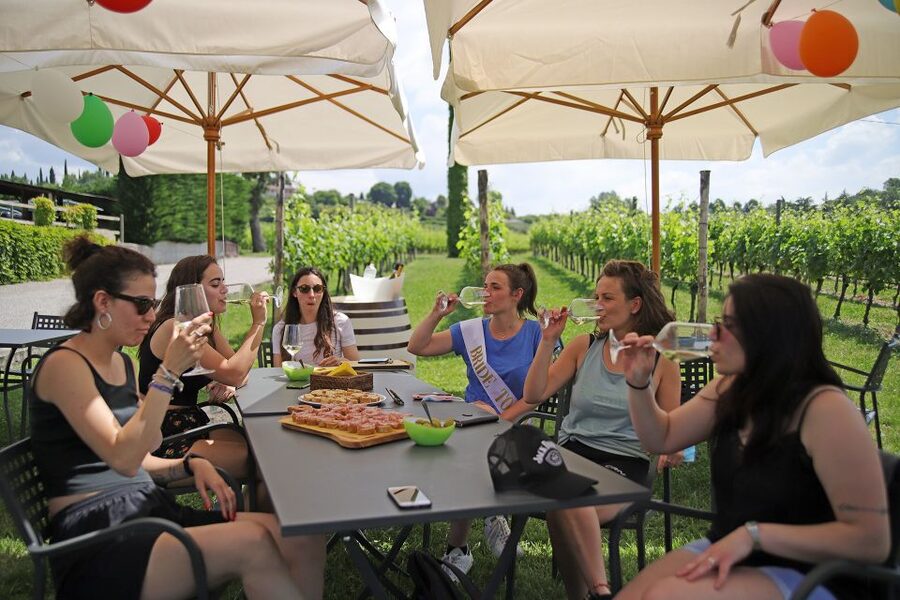 Lazise: Bike Tour and Wine Tasting - The 20 km Route: Vineyards, Olive Groves, and Lake Views You Can Photograph