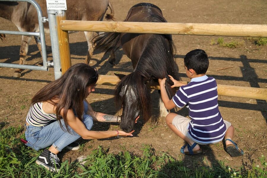 Lazise: Biodynamic Farm Tour and Natural Wine Tasting - Key highlights