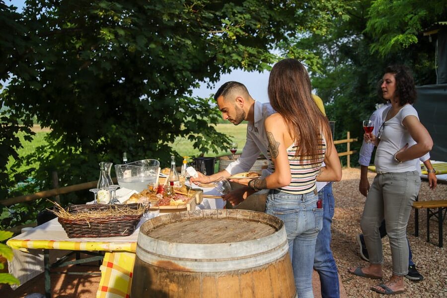 Lazise: Biodynamic Farm Tour and Natural Wine Tasting - Who this tour suits best (and who should skip)