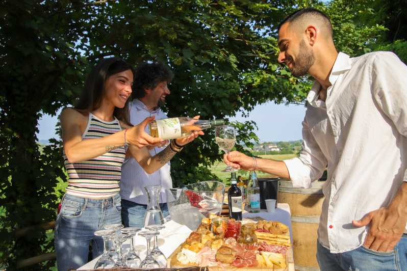 Lazise: Biodynamic Farm Tour and Natural Wine Tasting - Biodynamic methods: why this tour is more than a wine tasting