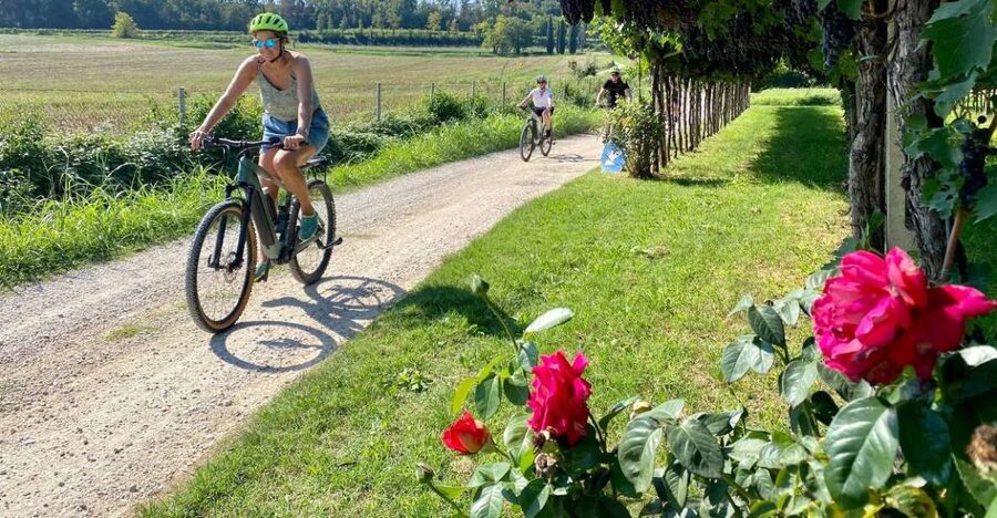Lazise: Countryside e-Bike Tour with Wine Tasting - Key highlights to look forward to