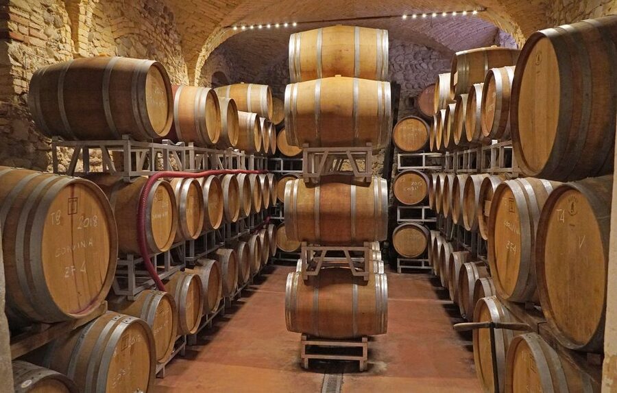 Lazise: Historical Center Wine Tasting Tour - Pairing Matters: Cold Cuts, Cheese, Bread, and Garda Olive Oil