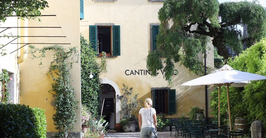Lazise: Historical Center Wine Tasting Tour - How the 1.5-Hour Flow Works: Whites, Bardolino, Then Three Reds