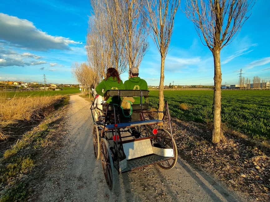 Lazise: horse carriage tour with tasting of local products - Key things to love about this Lazise carriage + honey experience