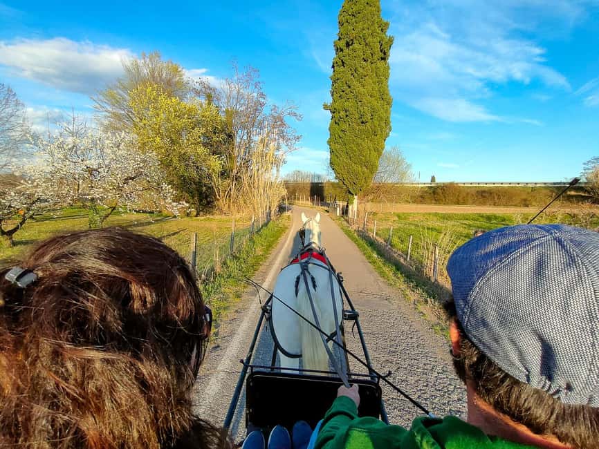 Lazise: horse carriage tour with tasting of local products - The 2-hour carriage ride: pace, comfort, and what you’ll notice