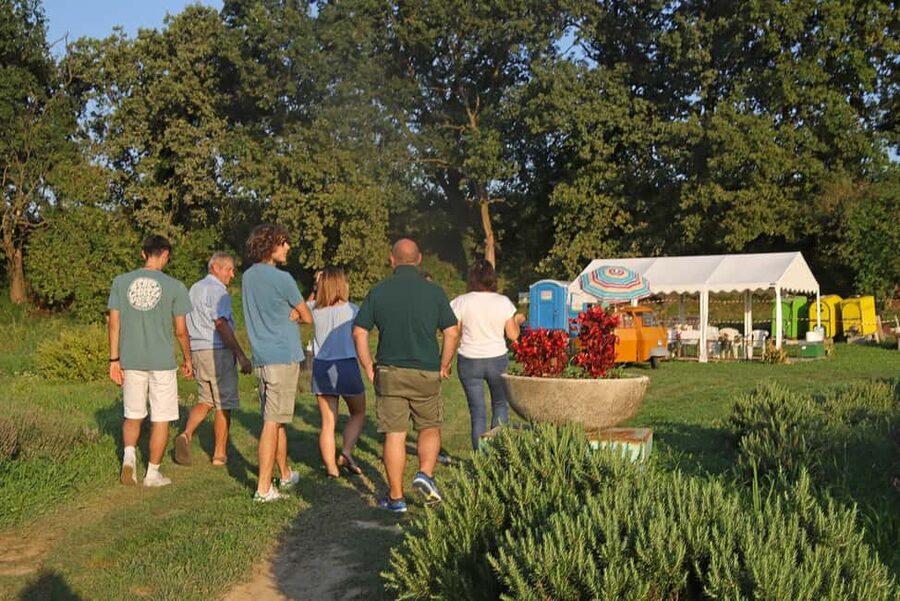 Lazise: horse carriage tour with tasting of local products - The farm story: sustainable farming you can actually feel