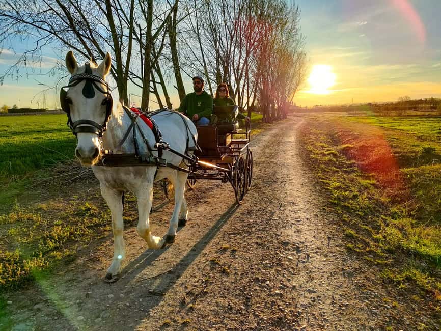 Lazise: horse carriage tour with tasting of local products - Wine on the farm: a small pairing that makes sense
