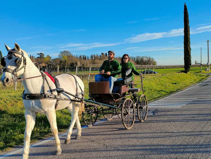 Lazise: horse carriage tour with tasting of local products - Where to meet in Lazise (so you don’t waste your start time)