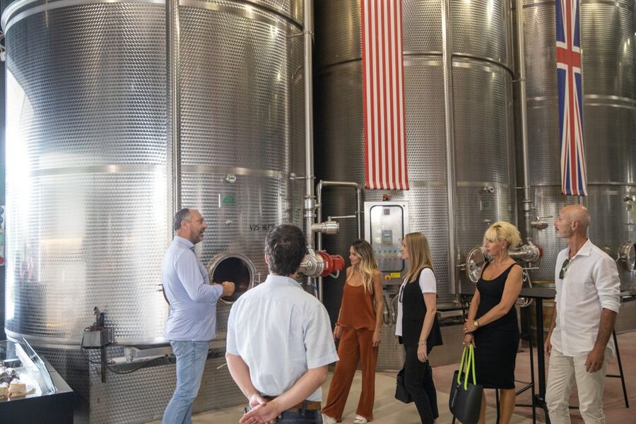 Lazise: Vineyard Tour and Organic Wine Tasting - Why an organic winery near Lazise feels like your best Lake Garda plan