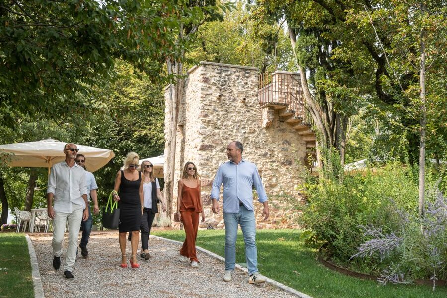 Lazise: Vineyard Tour and Organic Wine Tasting - Vineyard walk: grape varieties and what makes organic growing practical
