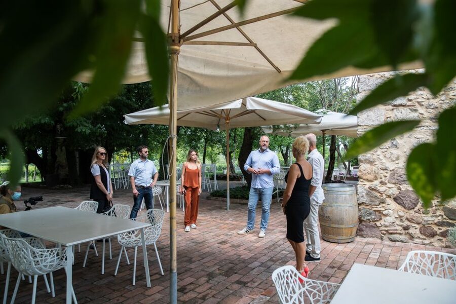 Lazise: Vineyard Tour and Organic Wine Tasting - Price and value: why $58 makes sense for what you get