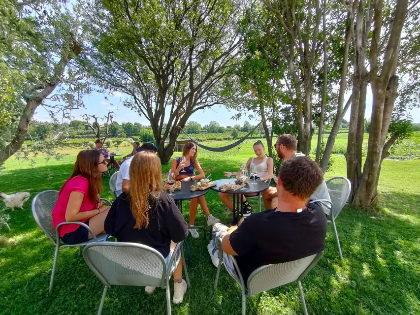 Lazise: Wine Tasting with Charcuterie and Cheese Board - Who Should Book, and Who Should Skip