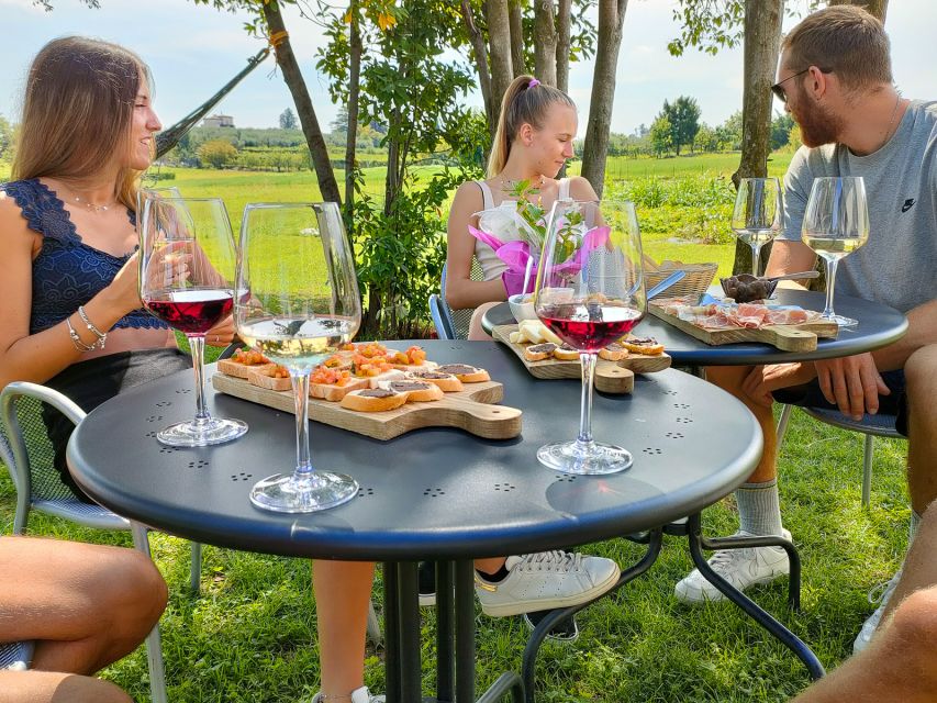 Lazise: Wine Tasting with Charcuterie and Cheese Board - The Wine Lineup: Rosé, White, and a Light Local Red