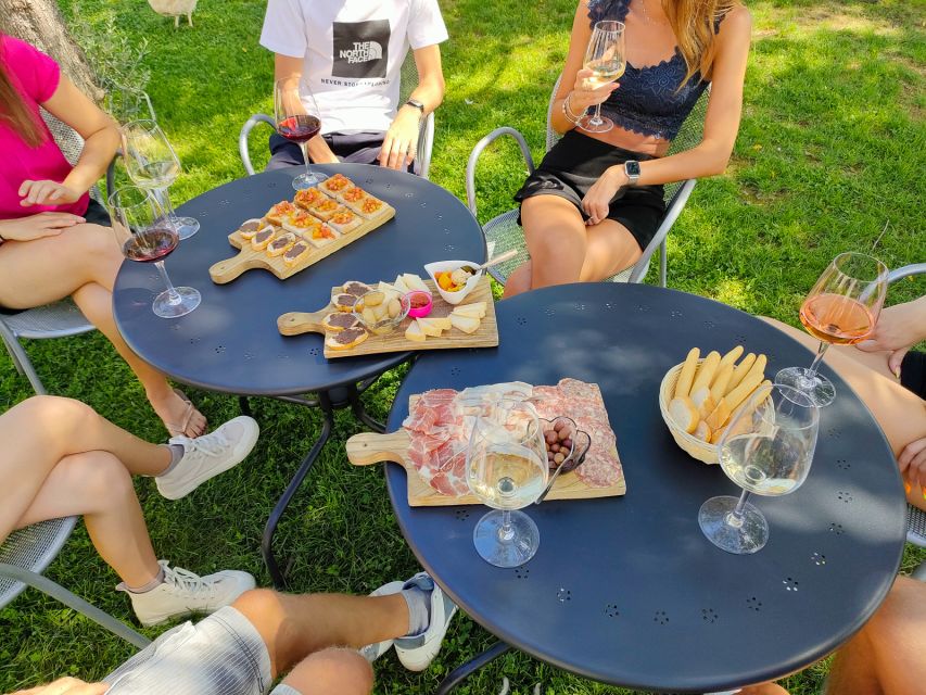 Lazise: Wine Tasting with Charcuterie and Cheese Board - Setting Expectations for Families, Couples, and Food Lovers