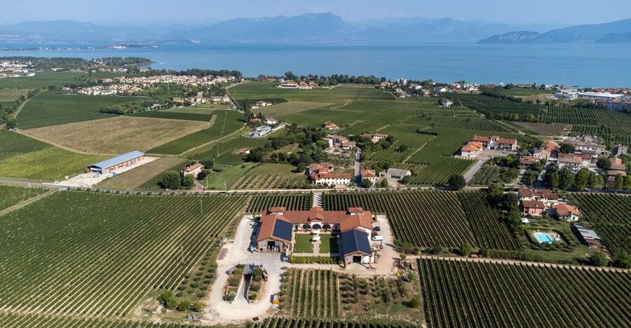 Le Morette, Il Lago e La Cucina - Six Wines in a Guided Tasting: How to Get Real Value From It
