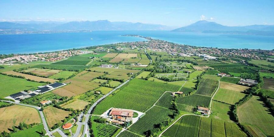 Lugana Wine Tour With Private Panoramic Boat on Lake Garda - Should You Book This Tour or Pass?
