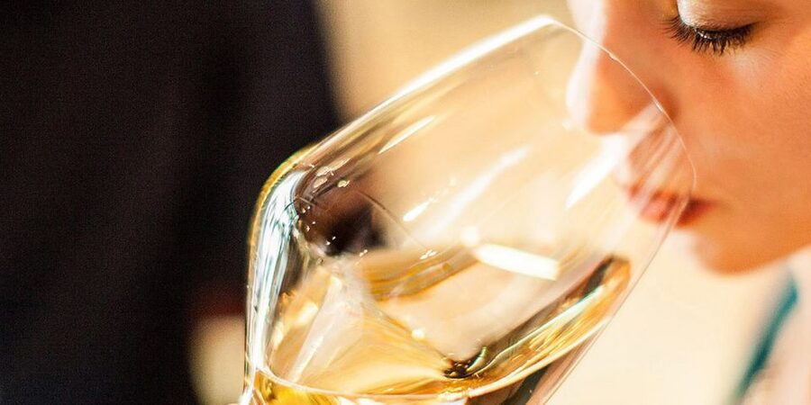 Lugana Wine Tour With Private Panoramic Boat on Lake Garda - Price and Value: What $988.08 Buys You (and Why It Can Be Worth It)