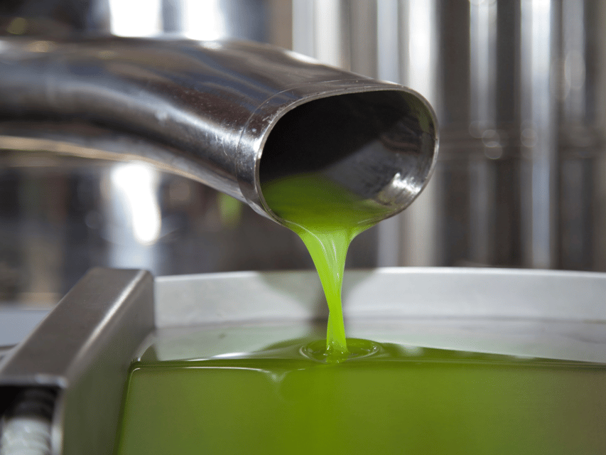 Olive Mill Tour and Tasting in the Verona Countryside - Frantoio 4.0 mill tour: where modern tech meets quality control