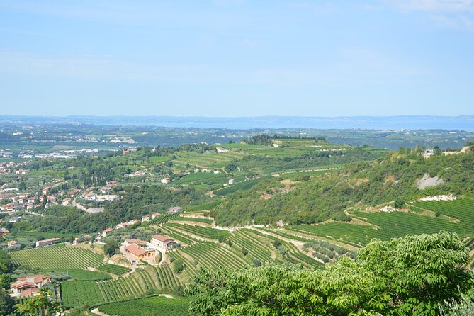 Pagus Wine Tours® - A taste of Amarone - Half day wine tour - Stop 1 at Pagus Wine Tours: a quick cellar-price preview