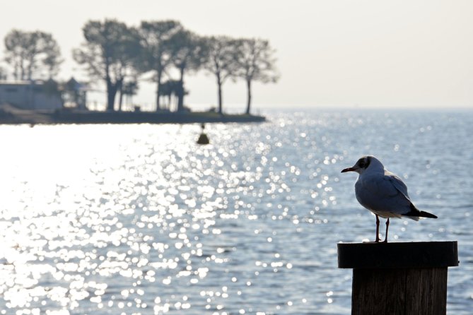 Pagus Wine Tours® - Sirmione by boat and Amarone - Full day tour - Starting in Verona at Pagus Wine Tours