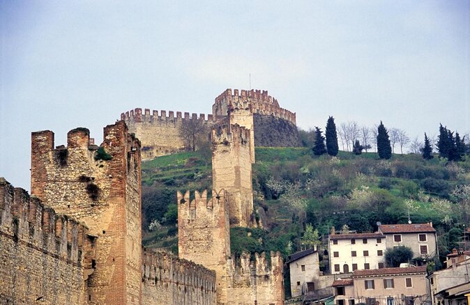 Pagus Wine Tours® - Soave and Amarone - Half day wine tour - Key points to know before you book